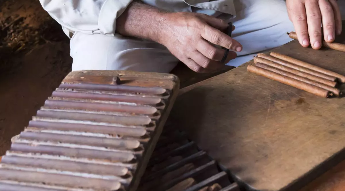 Proces de producție a trabucurilor la o fermă din Cuba.