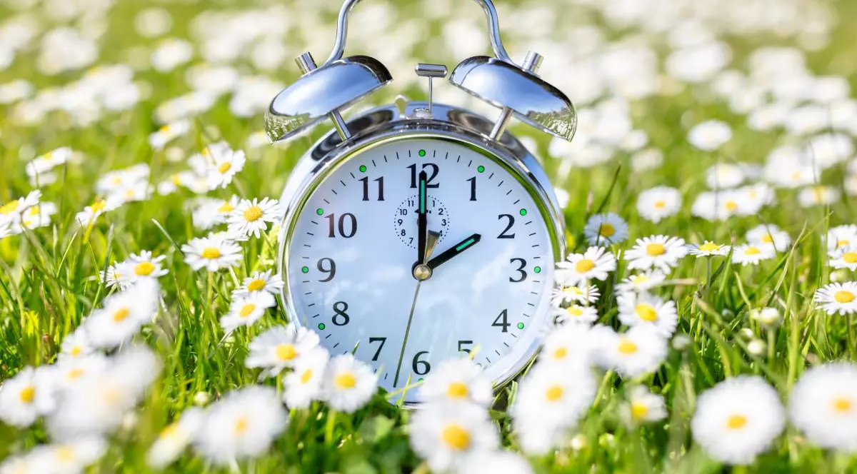 Schimbarea orei de vară, un ceas alb intr-un camp de flori albe si iarba verde