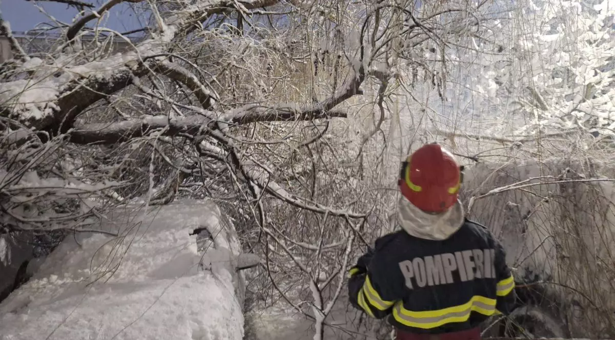 Un pompier se luptă să îndepărteze o creangă de copac plină de zăpadă care a căzut peste o mașină, 18 februarie 2026