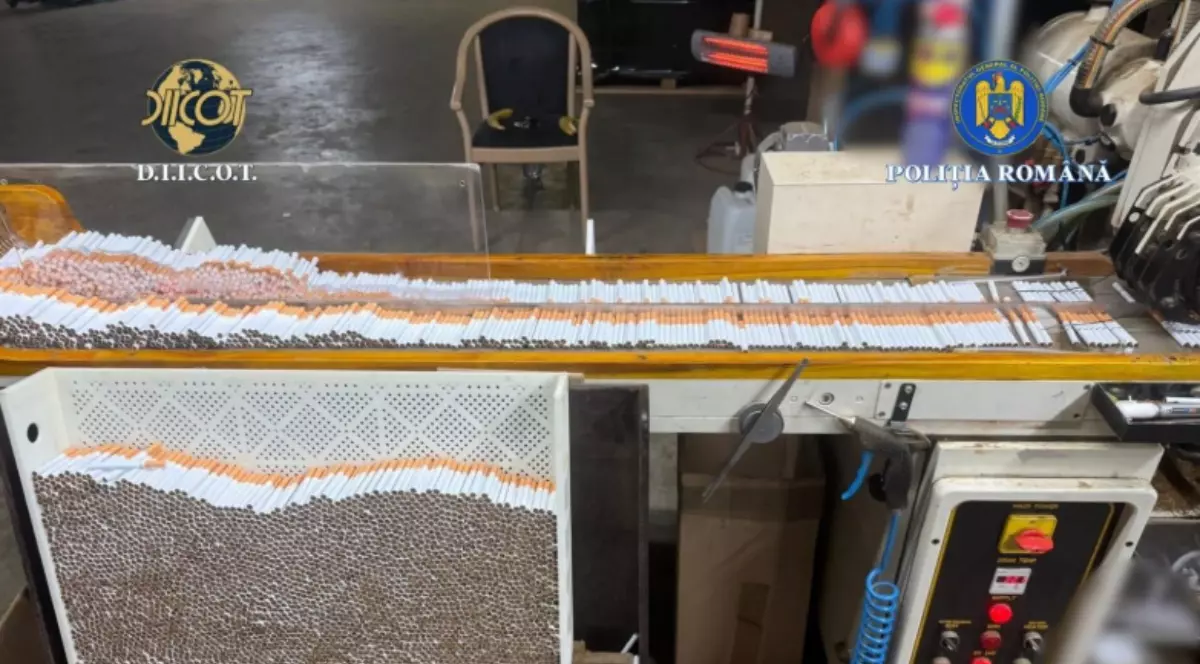 În prim-plan se observă o bandă pe care sunt aliniate sute de țigări cu filtru portocaliu. În partea de jos, o ladă din plastic este plină cu țigări.