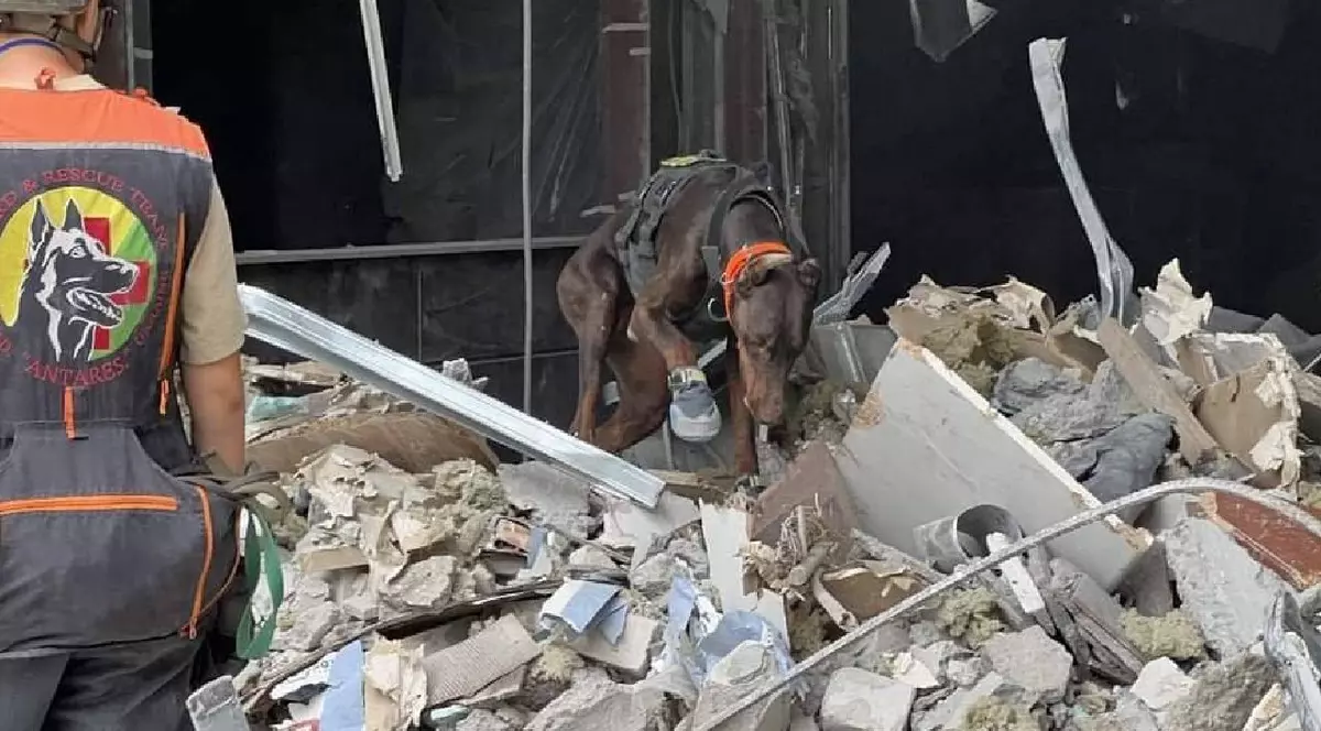 Povestea emoționantă a dobermanului-erou Hanna din Ucraina: „A salvat peste 170 de vieți până în ultima zi de viață”