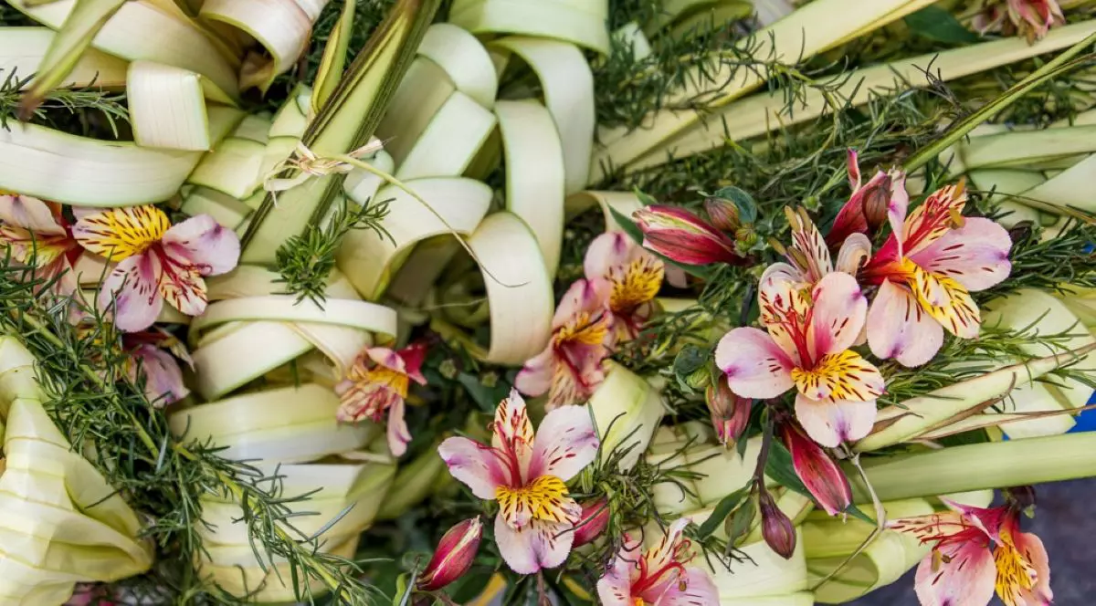 Mesaje de Floriile catolice - cele mai frumoase urări - Foto Shutterstock