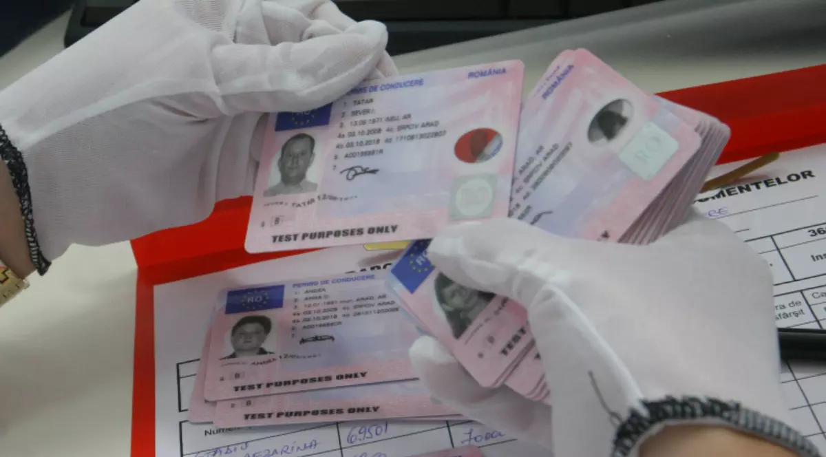 Mai multe permise de conducere pe care le ține în mână o persoană cu mânuși albe