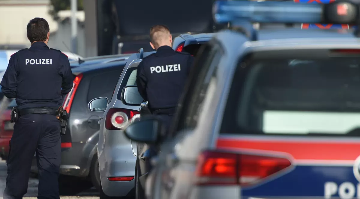 Doi polițiști care stau cu spatele și se află lângă mai multe mașini parcate.