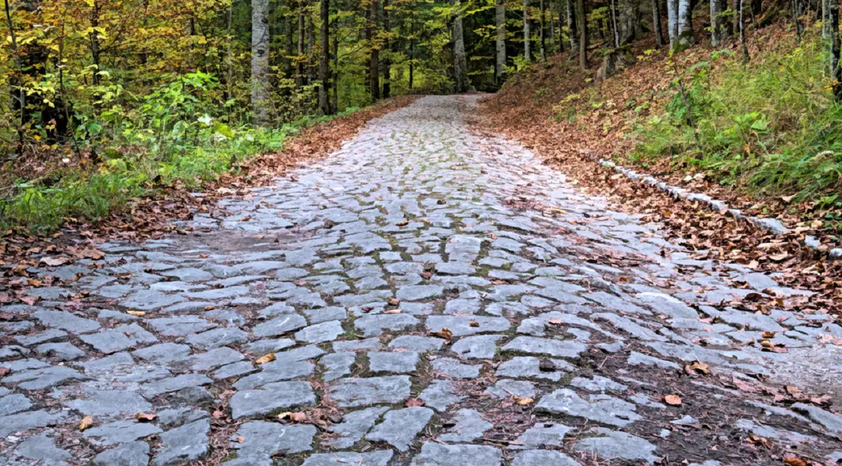 Poteca Regală din Sinaia - drumul de la Peleş la Poiana Stânii - Imagine cu poteca pavată care duce de la Peleş la Poiana Stânii
