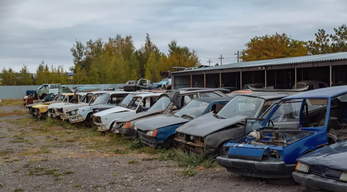 Mai multe mașini vechi, accidentate, avariate sau aproape dezmembrate, într-un parc auto