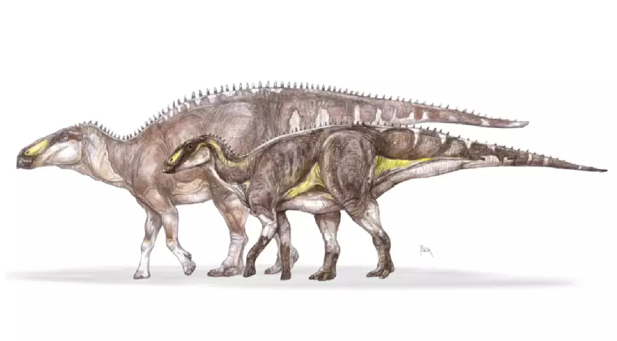 Reconstituire artistică a lui Kryptohadros realizată de Pecsics Tibor.