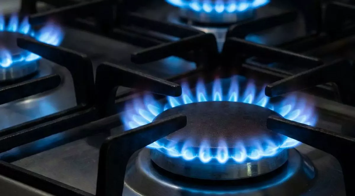 Romgaz nu mai intră pe piață în aprilie cu oferte pentru populație, deși autoritățile au promis