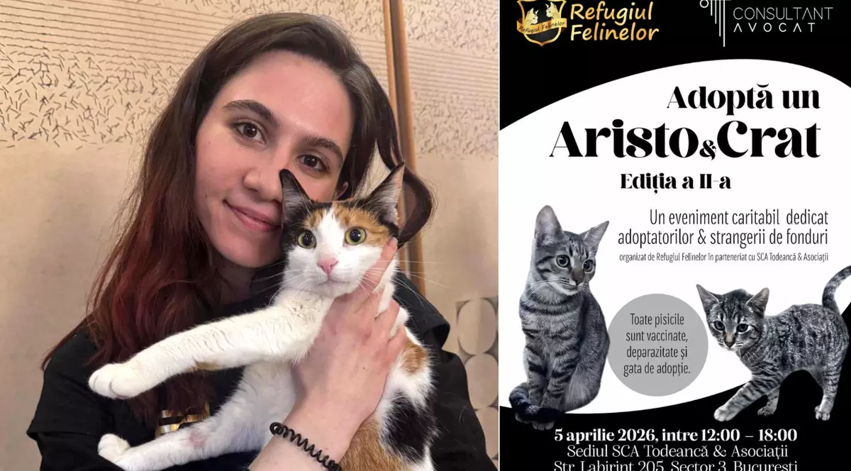 Târgul de adopție AristoCrat revine. Ce aduce nou ediția 2: „Este o celebrare a oamenilor care doresc să schimbe destine”