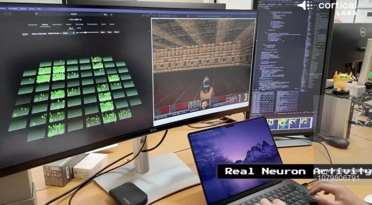 Un „creier” creat în laborator a învățat să joace Doom.