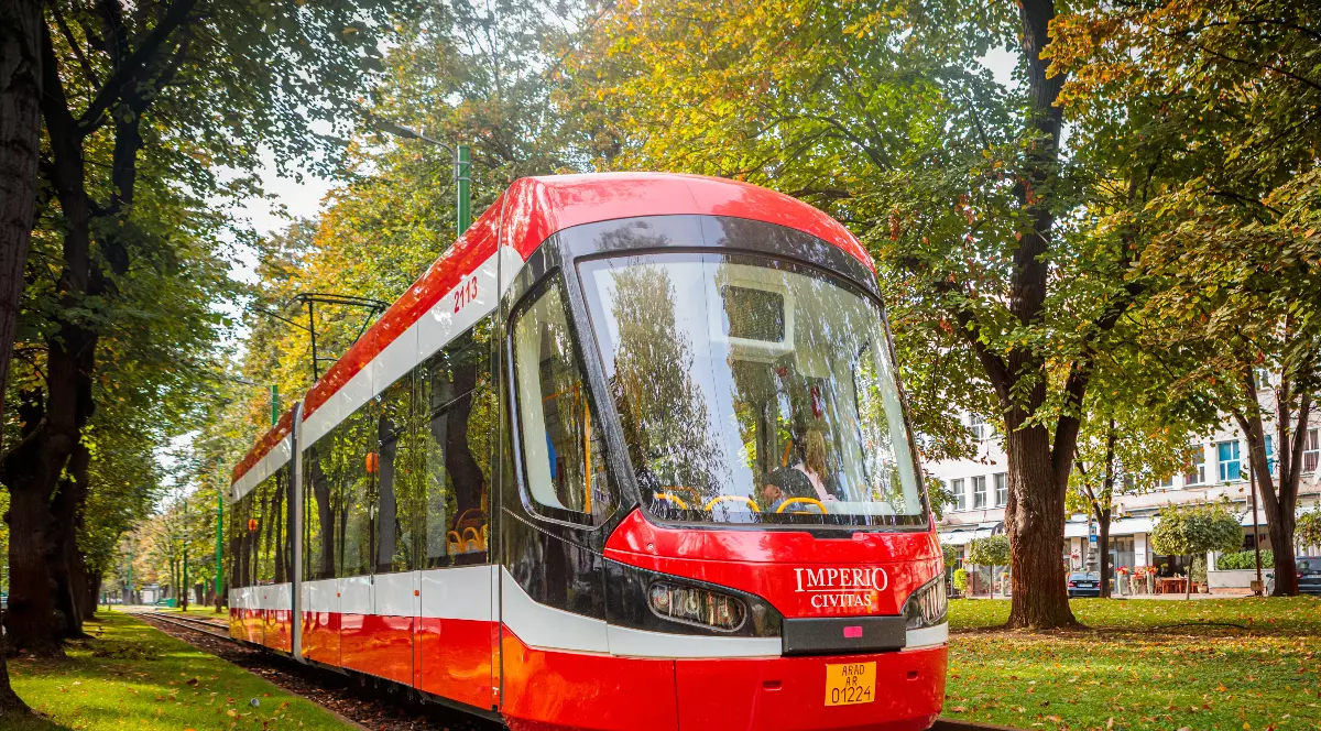 Imaginea prezintă un tramvai modern, de culoare roșie, care circulă pe o linie înconjurată de copaci și spațiu verde. Vehiculul este nou și bine întreținut, sugerând un sistem de transport public eficient și modern într-un oraș.