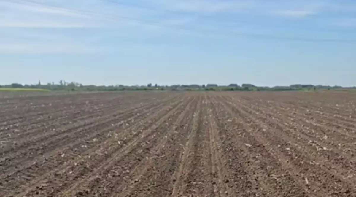 Imaginea surprinde un câmp agricol întins, proaspăt lucrat, cu rânduri paralele de sol pregătit pentru cultură. Pe fundal se observă linia orizontului cu vegetație și câteva construcții îndepărtate, sub un cer senin.