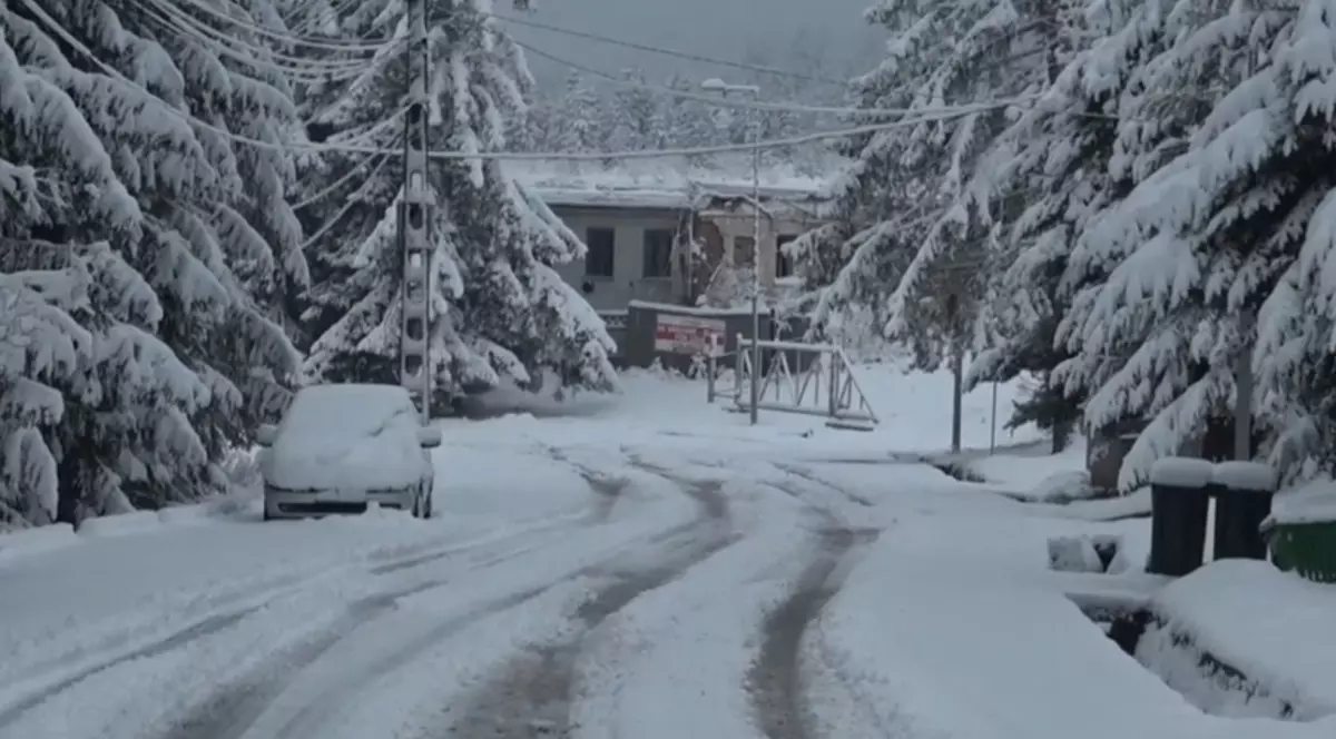 Un drum local prin pădure acoperit complet de zăpadă, este înconjurat de brazi cre sunt și ei plini de zăpadă