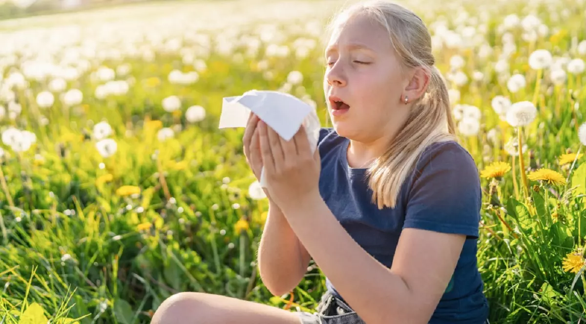 De ce strănutăm sau lăcrimăm când ne uităm la soare - Imagine cu o tânără care strănută într-o batistă de hârtie, având în spate un câmp înlflorit.
