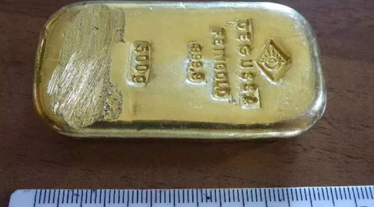 Un adolescent a găsit un lingou de aur de jumătate de kilogram pe fundul unui lac din Germania. Ce valoare are comoara