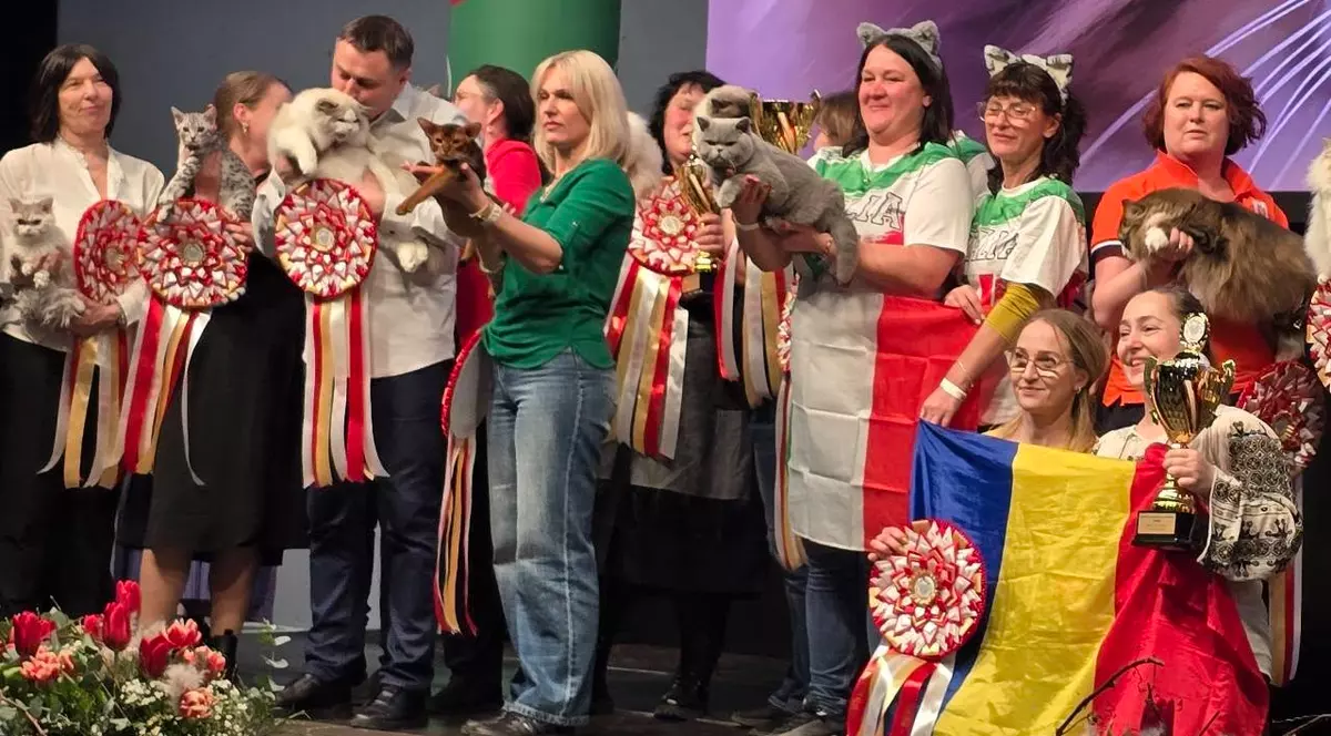 Imaginea surprinde mai mulți participanți la o competiție felină, fiecare ținând în brațe pisici de rasă premiate, decorate cu rosete și trofee. În prim-plan se află o participantă care ține un trofeu și un steag al României, sugerând succesul reprezentanților români la acest eveniment.