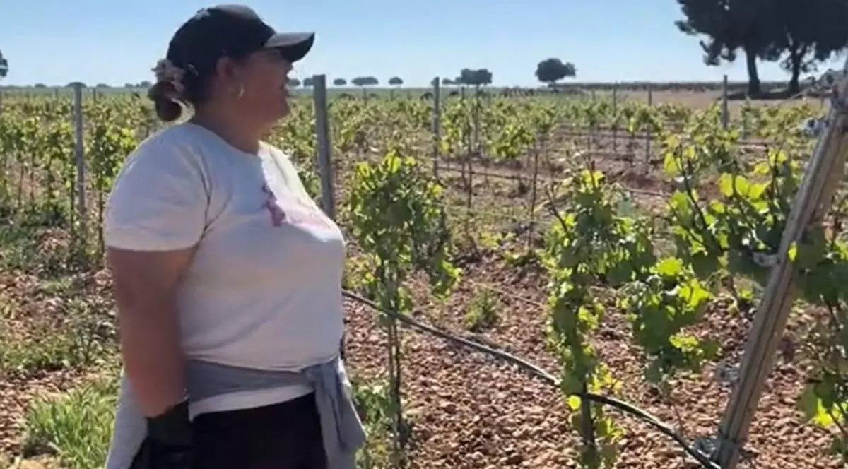 O femeie stă într-o vie întinsă, sub soare puternic. Poartă un tricou deschis la culoare, șapcă și are o haină legată în jurul taliei. n jurul ei se văd rânduri ordonate de butuci tineri, susținuți de araci și sârmă, iar în depărtare se întinde câmpul cu viță de vie până la orizont,