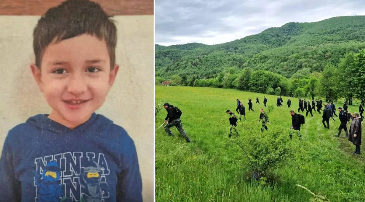 Imaginea este un colaj ce alătură portretul copilului dispărut unei fotografii care surprinde o amplă operațiune de căutare desfășurată de un grup de oameni pe o pajiște, la poalele unor dealuri împădurite.