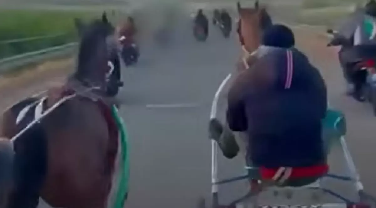 Cursă ilegală cu trăsuri trase de cai și arme Kalașnikov, în Sicilia