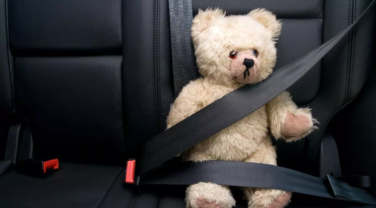 Imaginea prezintă un ursuleț de pluș așezat pe bancheta din spate a unui autoturism și fixat cu centura de siguranță.