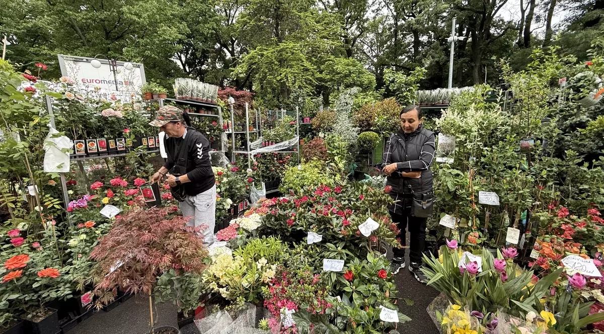 Imagine de la evenimentul „Zilele Horticulturii Bucureștene”, organizat la Campusul Agronomie Herăstrău. Foto: Libertatea