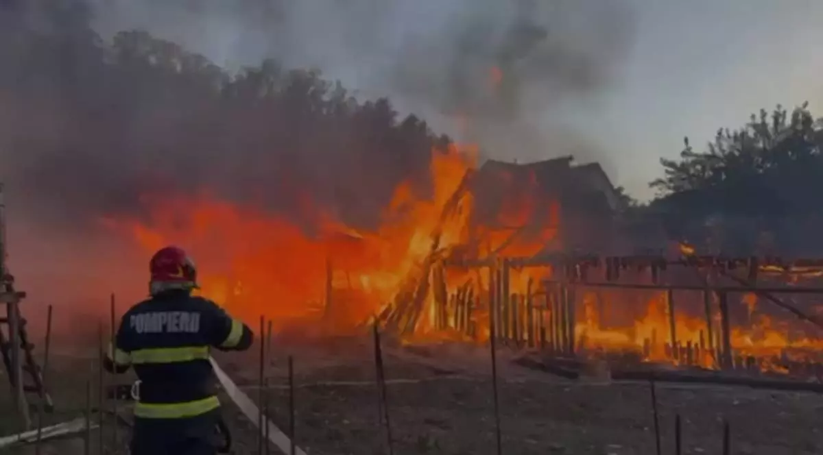 50 de pui și 30 de miei au murit într-un incendiu puternic în Bistrița-Năsăud
