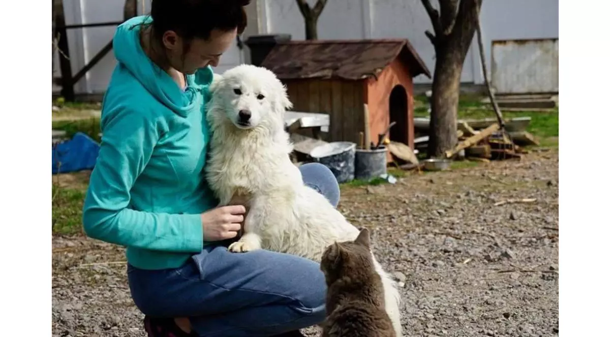 Povestea fundației ROLDA: de la primul cățel adoptat până la zeci de mii de animale salvate
