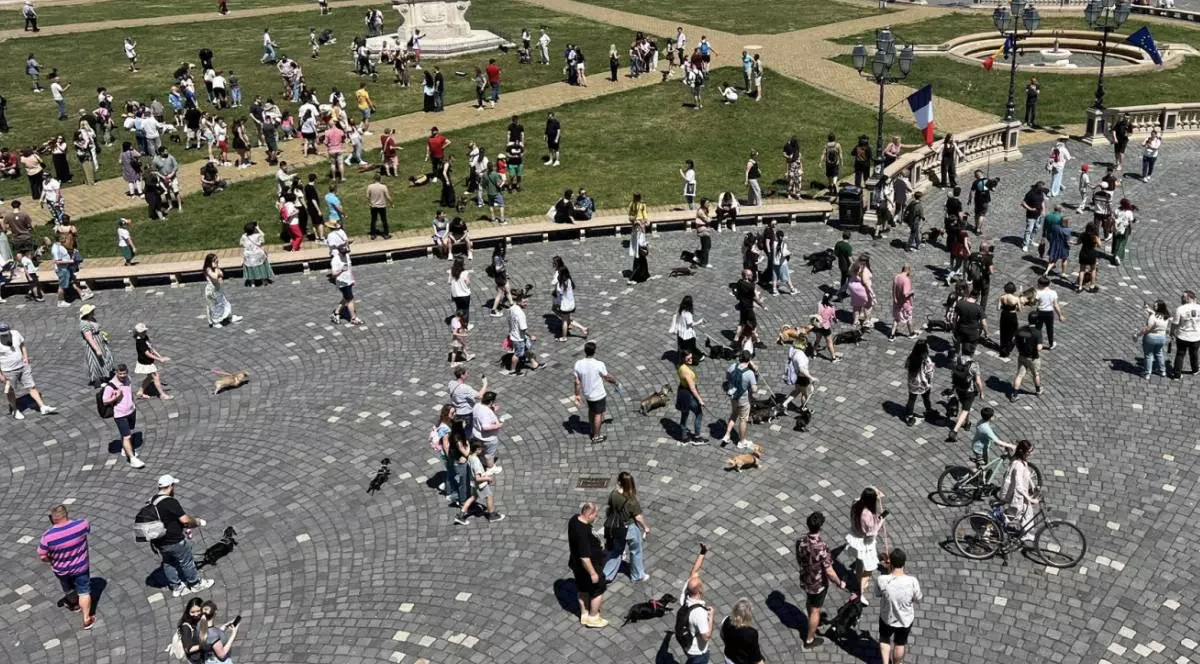 Mai mulți oameni se plimba prin centrul orașului Timișoara la Marea paradă a Șoricarilor