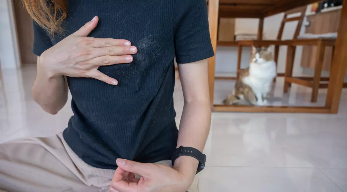 O femeie care are tricoul plin de păr de pisică și încearcă să-l curețe, iar în spatele ei stă pisica, sub masă