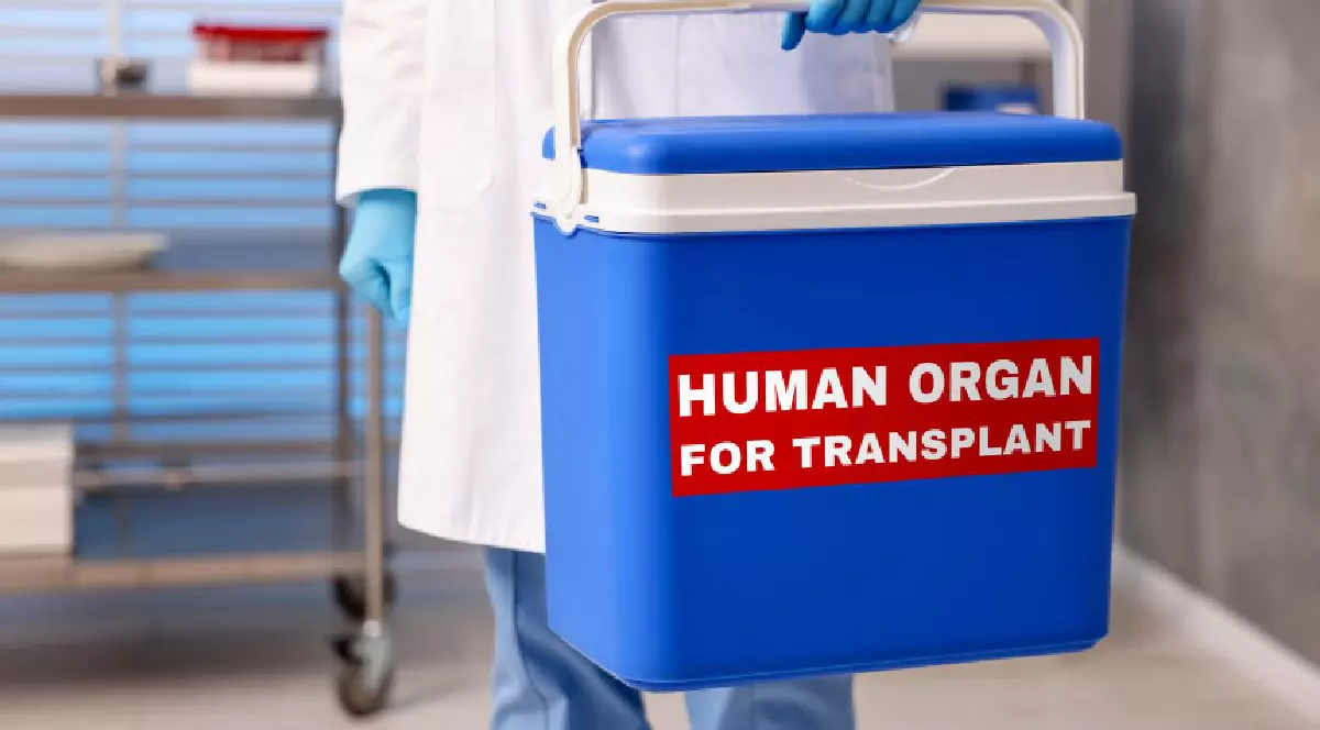 O lada frigorifica in care sunt transportate organele salvatoare. transplanturi donare de organe