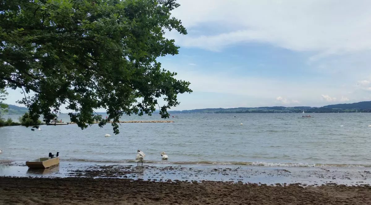 Lacul Murten din Salavaux / Cantonul Vaud, Elveția