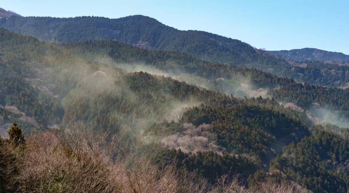 Polen de cedru de primăvară în Japonia, dispersat în cantități mari din munți, vedere de sus, cer albastru