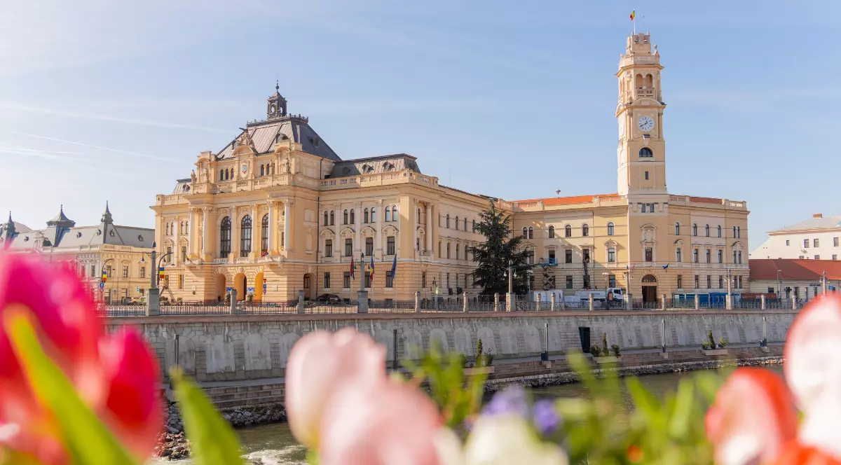 Clădirea impunătoare a Primăriei Oradea se reflectă spectaculos pe malul Crișului Repede, într-un peisaj urban elegant și luminos. În prim-plan, lalelele colorate oferă imaginii un aer de primăvară și pun în valoare arhitectura istorică a clădirii.