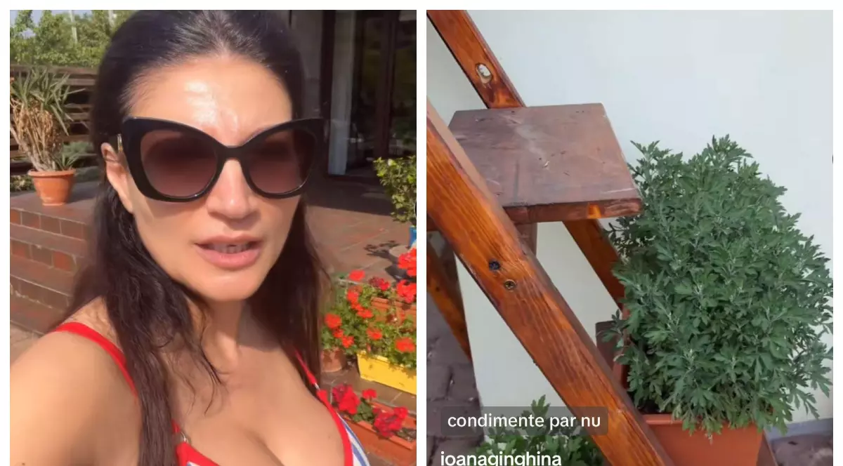 Imagini cu grădina Ioanei Ginghină. Ce legume a plantat vedeta și cine se ocupă de ele. „Să nu ziceți că nu fac nimic. Am zis să vă arăt”