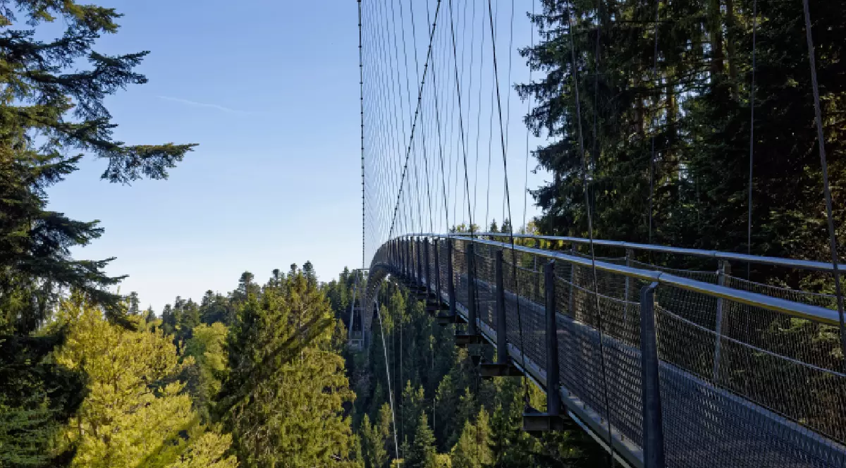 Podul suspendat Wildline peste Valea Pădurii Negre din Bad Wildbad, Germania