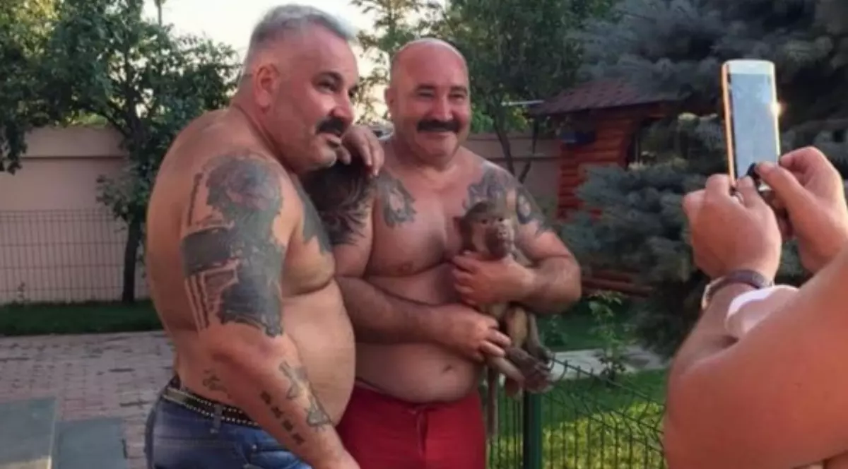 Sile și Nuțu Cămătaru despre Calypso