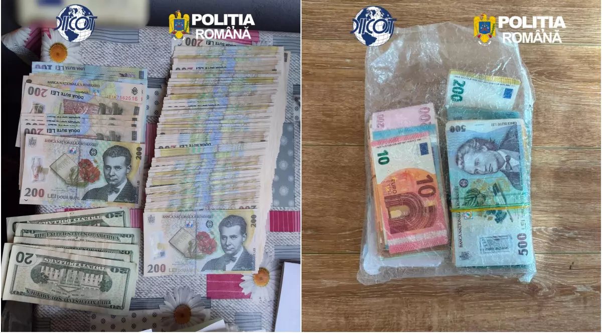 Bancnote lei și euro