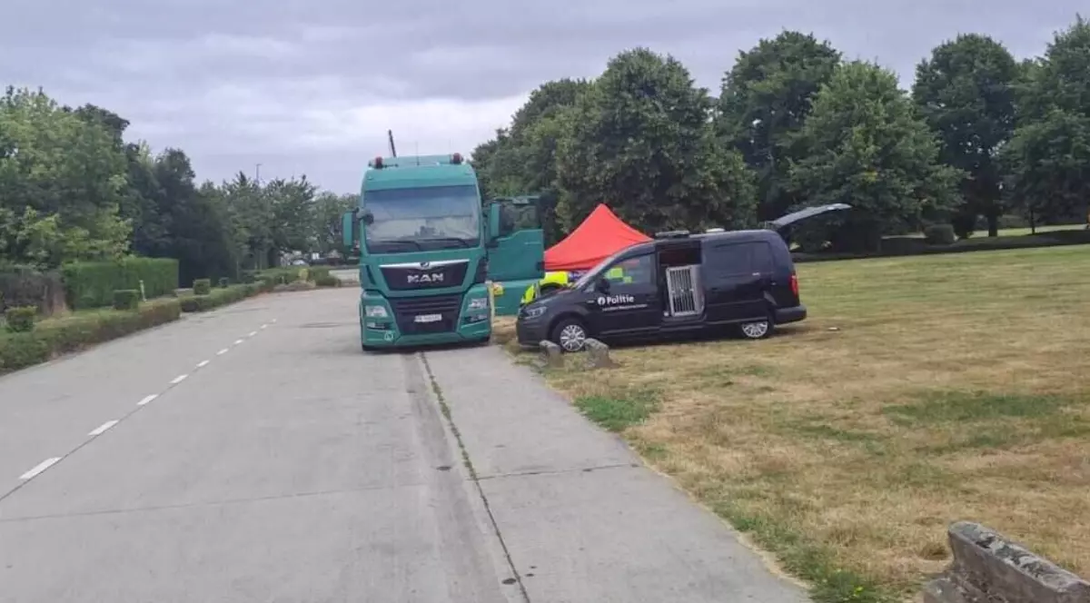 Imaginea prezintă un camion verde marca MAN și o dubă neagră de poliție oprite pe marginea unui drum, lângă un cort roșu și un spațiu verde.