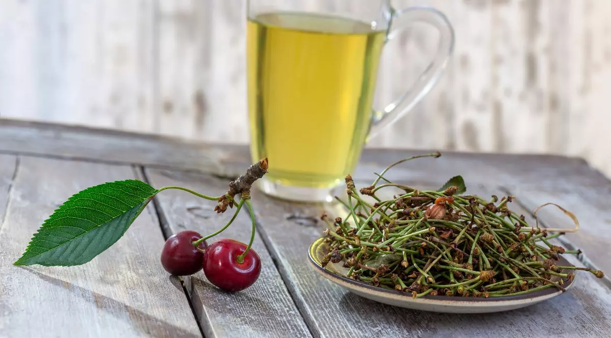 La ce ajută ceaiul de cozi de cireșe - cum se prepară corect - Foto Shutterstock