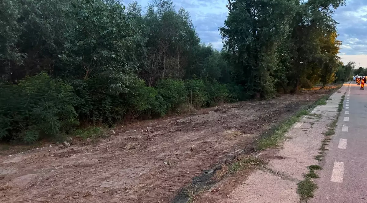 porțiunea de pe faleza Dunării din Galați de unde arborii au fost tăiați