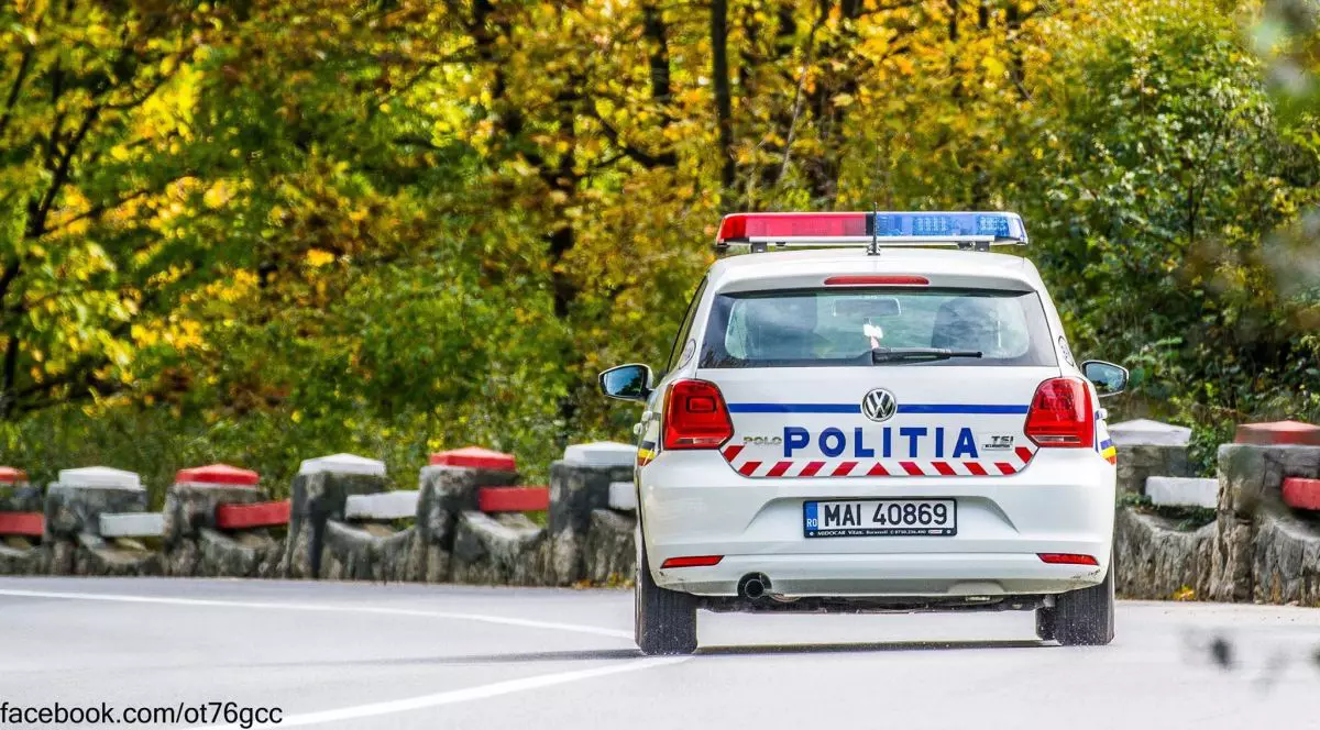 O mașină de poliție circulă pe un drum prin pădure