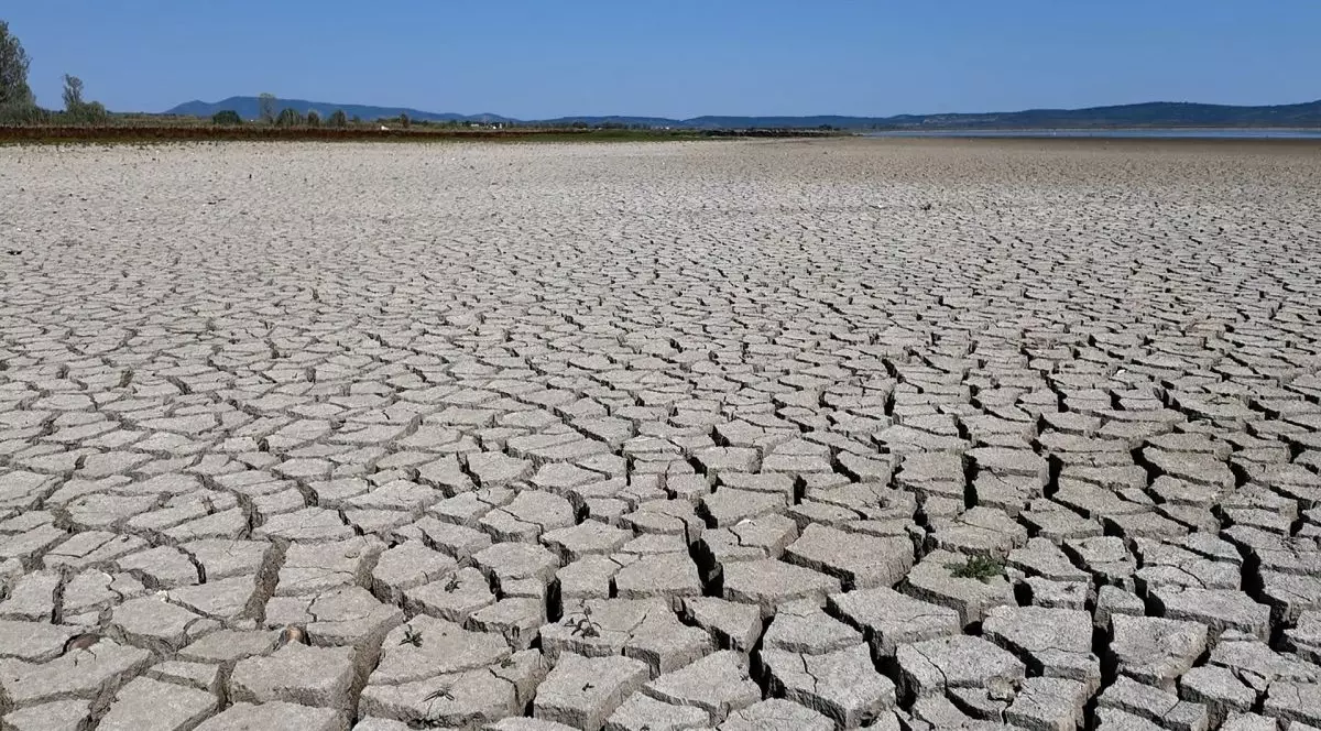 Pământ crăpat din cauza secetei, în România, august 2026