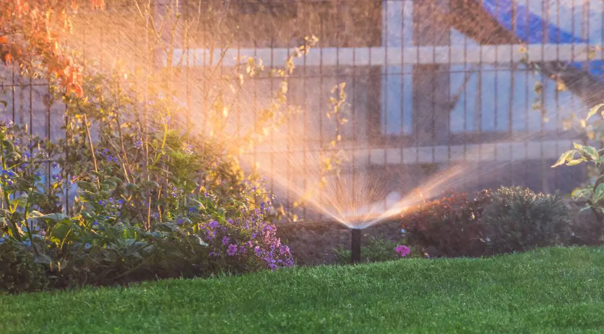 Aspersor din plastic care iriga stratul de flori de pe peluza cu iarbă cu apă în grădina de vară. Udarea vegetației verzi în sezonul uscat pentru a o menține proaspătă.