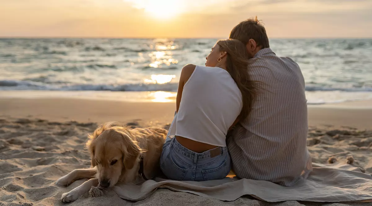 cuplu de tineri bărbat și femeie stând pe o plajă jucându-se cu golden retriever câine pe apus de soare zâmbind fericit distrându-se împreună, familie de vacanță la mare cu animal de companie