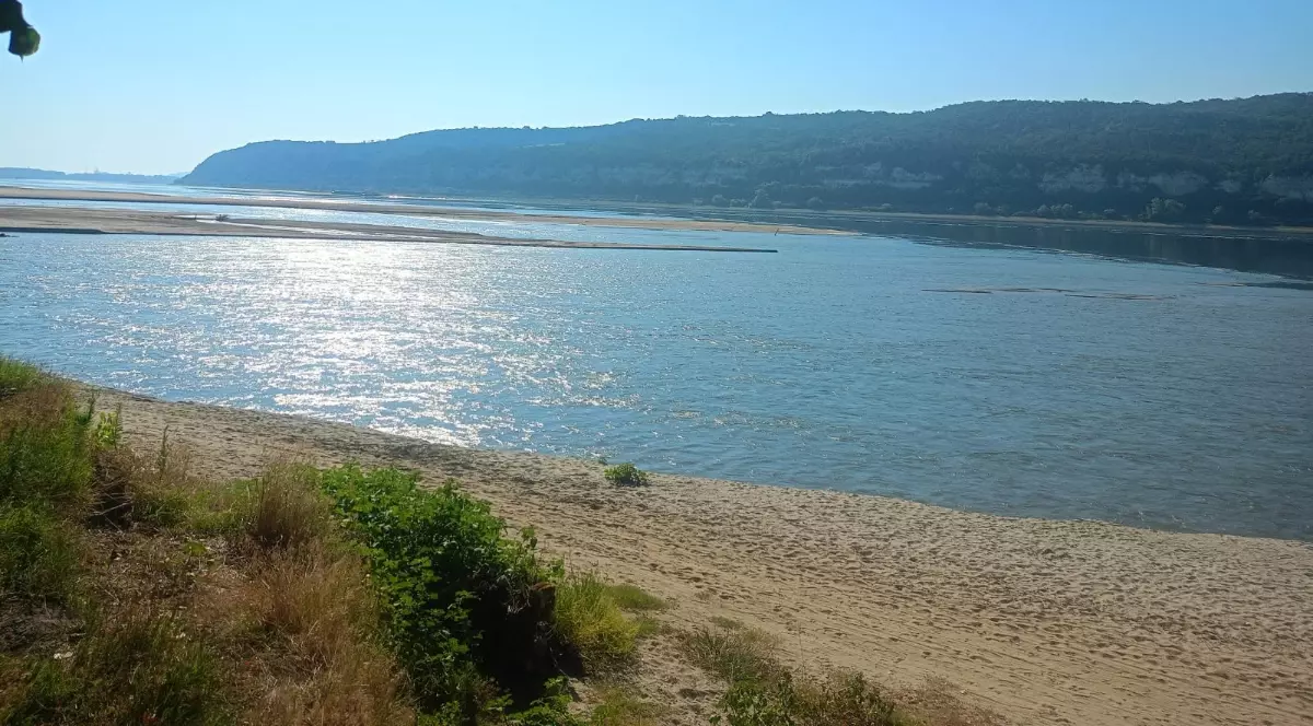 În imagine se vede Dunărea, cu nivelul apei aparent scăzut și zone de nisip vizibile în albie. Pe mal se află o plajă nisipoasă, iar în depărtare se observă dealuri împădurite de-a lungul fluviului.