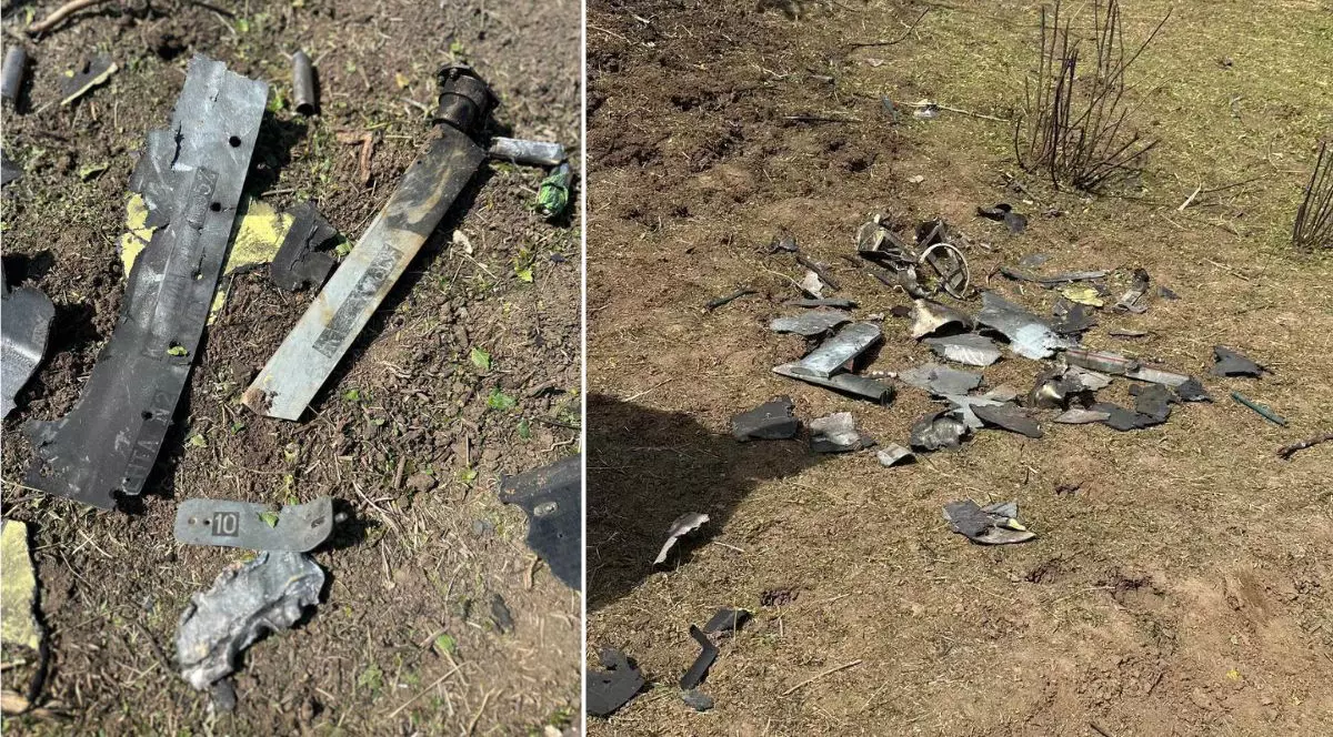 două cadre alăturate care înfățișează resturi de natură mecanică împrăștiate pe un teren neamenajat. În fotografia din stânga, realizată de aproape pe un sol presărat cu fire răzlețe de vegetație, se disting mai multe fragmente metalice, printre care o bandă plată prevăzută cu perforații și nituri, o componentă alungită asemănătoare unei pale atașate la un capăt de un ax cilindric, dar și alte bucăți neregulate și contorsionate de tablă, pe una dintre ele fiind vizibilă o mică plăcuță cu numărul zece. Fotografia din dreapta surprinde de la o distanță puțin mai mare o zonă cu pământ și vegetație măruntă, unde este împrăștiată o grămadă de așchii și fragmente metalice sfâșiate și deformate, în imediata apropiere a acestora ridicându-se din sol câteva tulpini subțiri și golașe ale unor plante.