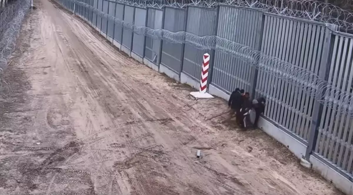 Imigranți ilegali surprinși în timp ce intră în Polonia printr-o spărtură a gardului de la granița cu Belarus Captură X @WarMonitor3