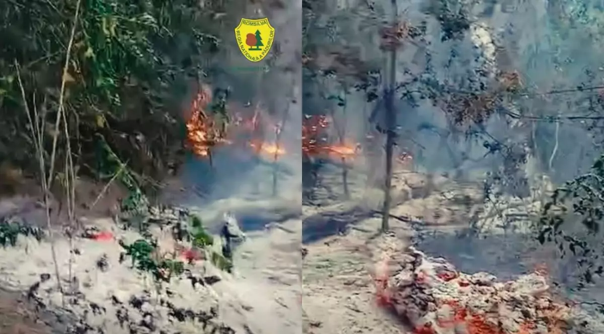 Un colaj format din două fotografii cu un incendiu de vegetație