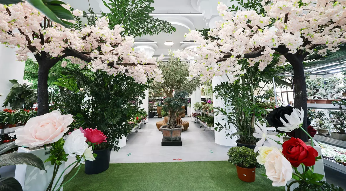 Mall-ul de plante și ghivece din București. Foto: Vlad Chirea (Libertatea)