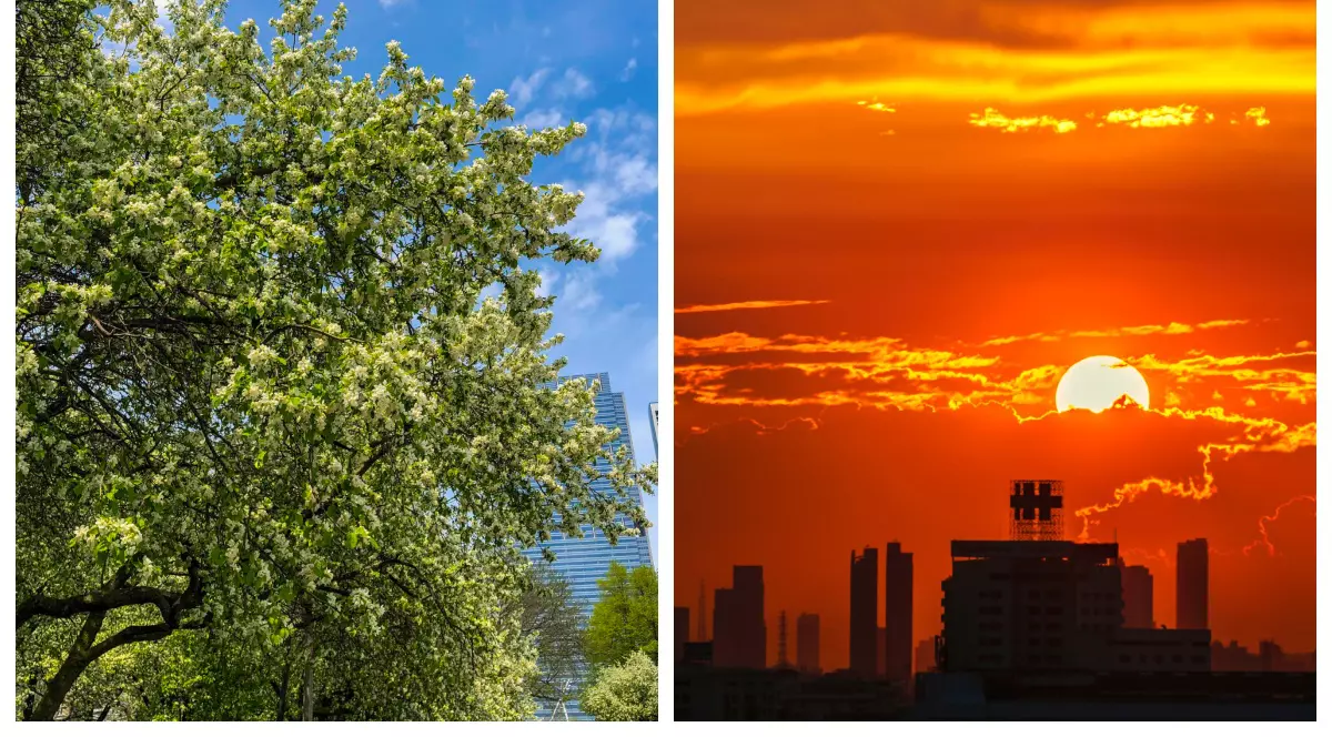 Un colaj realizat din două fotografii: cea din stânga cu copaci înverziți, iar cea din dreapta cu un apus de soare într-un oraș plin de clădiri.